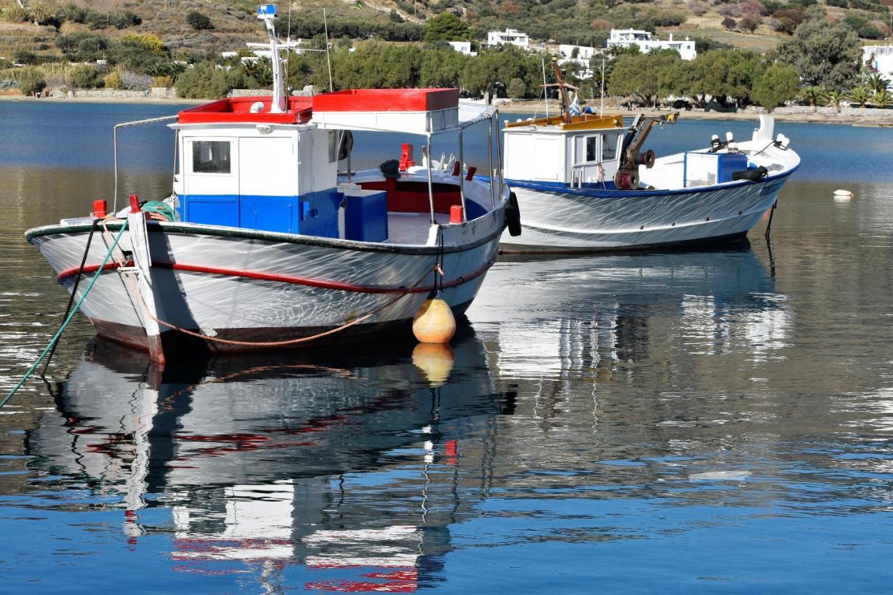 קטאפולה Angeliki Pension מראה חיצוני תמונה