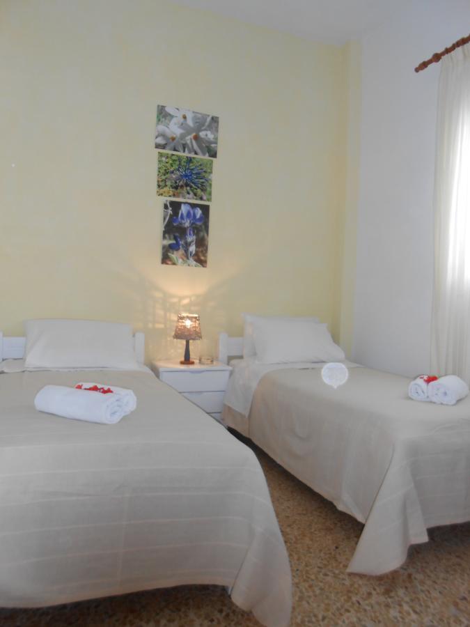 קטאפולה Angeliki Pension מראה חיצוני תמונה